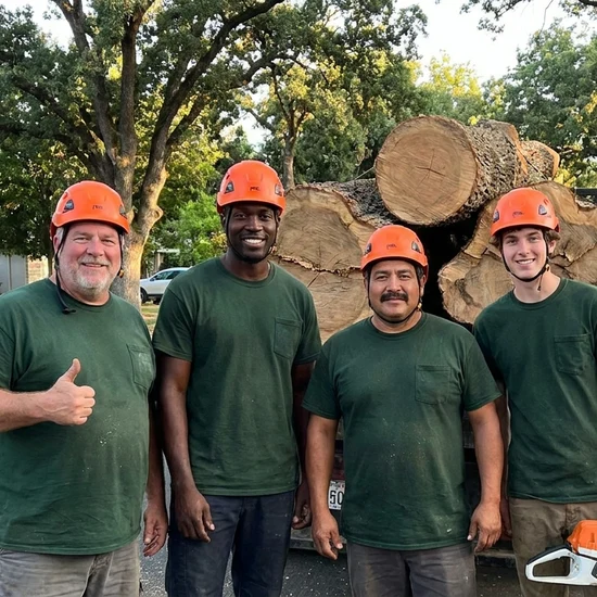 New Horizon tree crew with a truck loaded with oak logs in Nashville